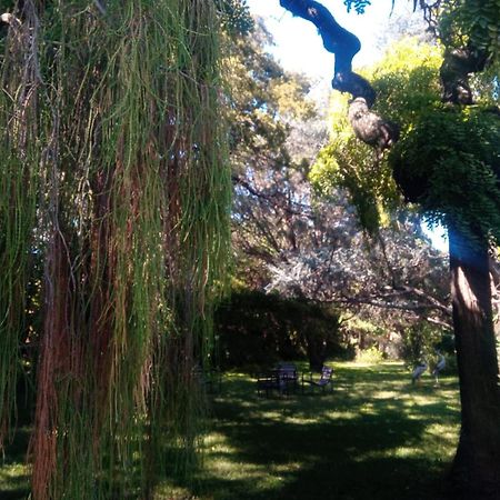 Cabana En Quinta La Aurora Mina Clavero Zewnętrze zdjęcie