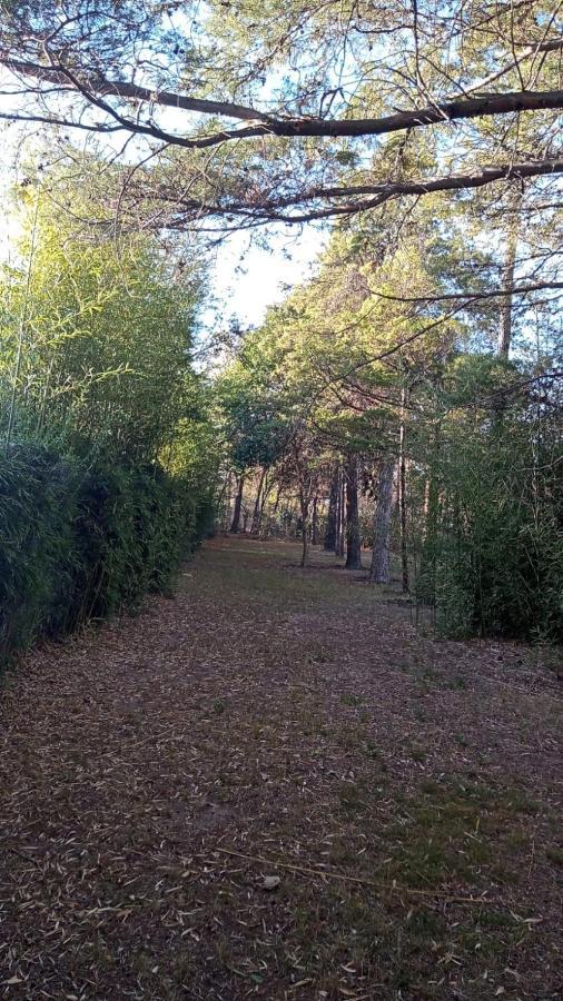 Cabana En Quinta La Aurora Mina Clavero Zewnętrze zdjęcie