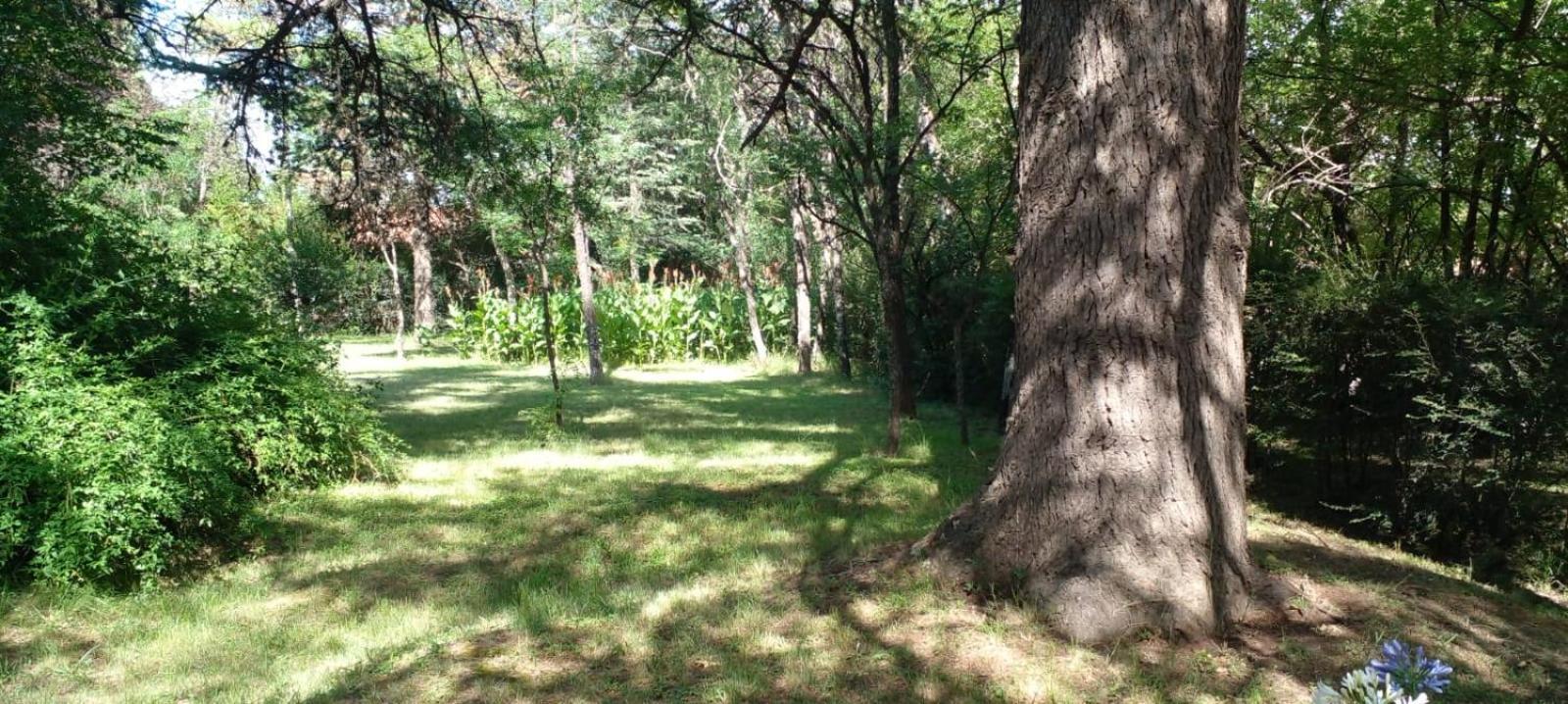 Cabana En Quinta La Aurora Mina Clavero Zewnętrze zdjęcie